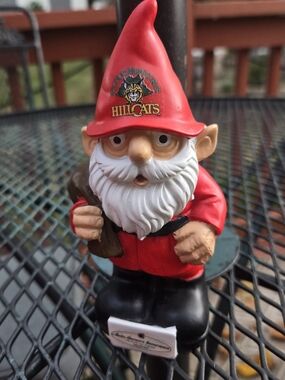 Lynchburg Hillcats MiLB Baseball Holiday Mascot Gnome SGA - Christmas in July